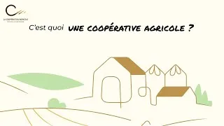 Miniature : C'est quoi une coopérative agricole ?