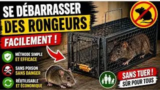 Miniature : 92 -  Comment se Débarrasser des Rats et Souris Facilement (méthode simple et efficace)