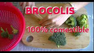 Miniature : Comment cuisiner le brocoli 🥦 de A à Z ? (Mon astuce + 2 recettes gourmandes)