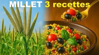 Miniature : 👉 La Céréale OUBLIÉE 10 FOIS MEILLEURE Que le Riz 🍚 | 3 RECETTES Délicieuses au MILLET 🥦