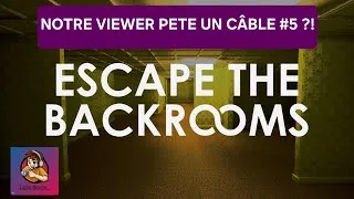 Miniature : On fait péter un câble notre VIEWER ?! #5 | Escape The Backrooms