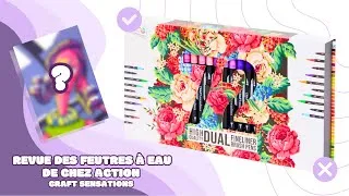 Miniature : Revue des feutres à eau de chez Action, les Craft Sensations