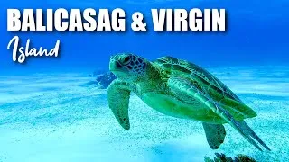 Miniature : JOUR 3 : Balicasag & Virgin Island Tour ! #philippines