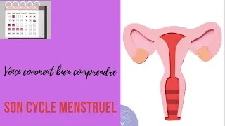 Miniature : Bien calculer son cycle menstruel pour pouvoir déterminer sa date d´ovulation