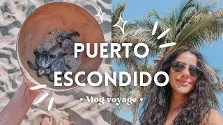 Miniature : VLOG MEXIQUE | Une semaine de voyage solo à Puerto Escondido 🌴🇲🇽