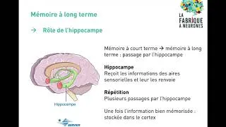 Miniature : La mémoire - La Fabrique à Neurones