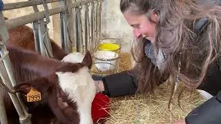 Miniature : Projet ALCOTRA/IMAJE - Reportage "Et notre alpage dans tout ça" Lycée agricole de Contamine sur Arve