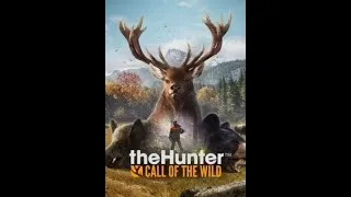 Miniature : Test du Nouveaux jeux (theHunter Call of the Wild)