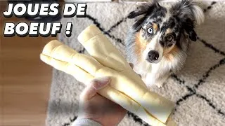 Miniature : Joues de boeuf pour chien   UNE DINGUERIE ! Meilleure friandise gourmande ?