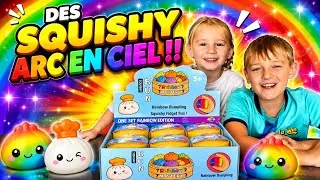Miniature : OUVERTURE DE 12 RAINBOW DUMPLING !!