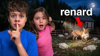 Miniature : Un ANIMAL SAUVAGE ATTAQUE Notre MAISON