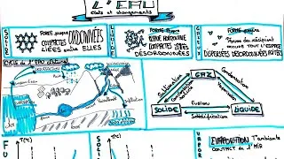 Miniature : ​Les États de la Matière et le Cycle de l'Eau (CRPE et BAC) - Fiche de Révision Complète !