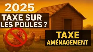 Miniature : 2025, Taxe sur les poules ? Non ! Mais taxe d’aménagement poulaillers !