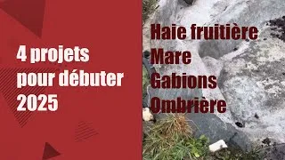 Miniature : Projets pour 2025, Haie fruitière, Etanchéité de la mare, Ombrière et Gabions #autonomiealimentaire
