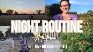Miniature : Routine du soir à la ferme (Spécial été) ✨🐥🌼🌅🐐🐑