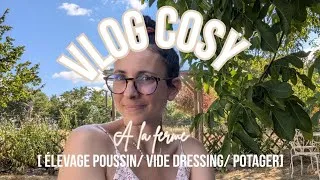 Miniature : Vlog cosy à la ferme 🌞🐥🐐👗🍅