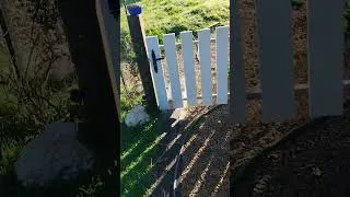 Miniature : Catastrophes à la mini ferme 😱😭😭