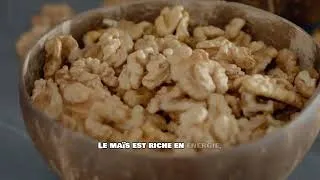 Miniature : Les plantes que tu peux cultiver pour nourrir tes animaux