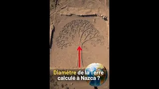 Miniature : « Nazca : le Diamètre exact de la Terre caché dans l’Arbre ? »