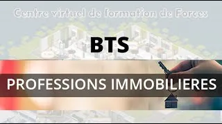 Miniature : BTS PI - PROFESSIONS IMMOBILIERES