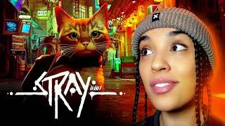 Miniature : STRAY 🐈 - CHAT DEVIENT UN VRAI CITADIN ! #5