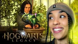 Miniature : HOGWARTS LEGACY 🪄 - BOTANIQUE, POTIONS ET QUÊTES A GOGO ! #5