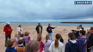 Miniature : Sur la plage du Môle une collecte de laisses de mer pour sensibiliser petits et grands