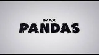 Miniature : PANDAS