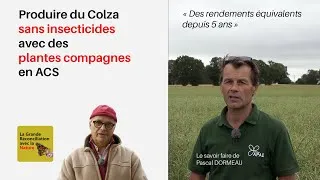 Miniature : 13 Du colza sans insecticides en ACS