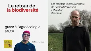 Miniature : N°14 - Le retour de la biodiversité