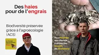 Miniature : N°13 - Des haies pour faire de l'engrais