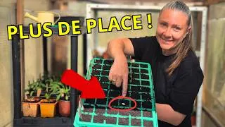 Miniature : Semis de courgettes : Pourquoi j'ai arrêté les godets classique !