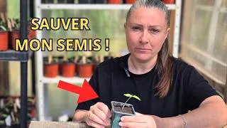 Miniature : NE JETEZ PAS vos tomates qui filent : Le sauvetage de l'extrème ! 🍅🌱
