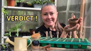 Miniature : 🪴 TOMATES 2026 : Le verdict 15 jours après l'astuce à la cannelle !