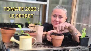 Miniature : Tomates 2026 : Je ne change plus rien à cette méthode !