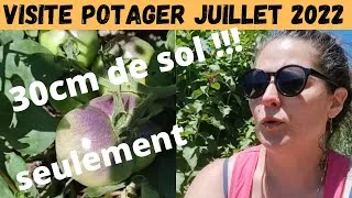 Miniature : Tour potager juillet 2022 en permaculture et terrain difficile ( sec en pente )