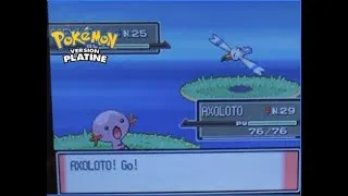 Miniature : Axoloto shiny au Grand Marais en 713 rencontres sur Platine !