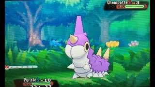 Miniature : [SQ SA #2] Chenipotte shiny route 102 en 5706 rencontres !
