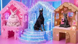 Miniature : Chambres pour animaux à 1$, 1 000$ et 10 000$ ! 🏠✨ Rénovation d'un refuge animalier DIY