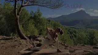 Miniature : La minute de yoga - Boost d'énergie !