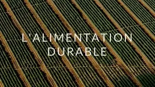 Miniature : L'Alimentation Durable