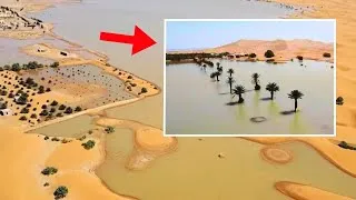 Miniature : Le Sahara est en train de changer sous nos yeux – les experts sont alarmés !