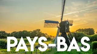 Miniature : Pourquoi les Pays-Bas sont-ils si riches ?