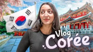 Miniature : 2ème jour en Corée après galères de la veille 🇰🇷