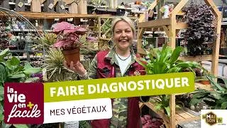 Miniature : Faire diagnostiquer mes végétaux - LaMaison.fr