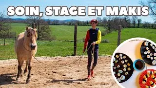 Miniature : Point sur Linda, soins, stage et on cuisine ensemble ! 🐎🍣  [Vlog Poney]