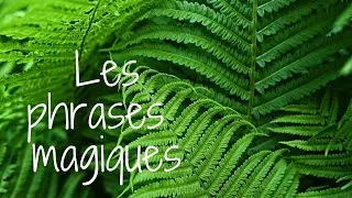 Miniature : Les phrases magiques