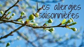 Miniature : Les allergies saisonnières