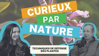 Miniature : Curieux par Nature - Épisode 11: Les techniques de défense des plantes