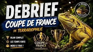 Miniature : Le GRAND DÉBRIEF de la Coupe de France de Terrariophilie 2026… (+ GROSSE SURPRISE 🎁)